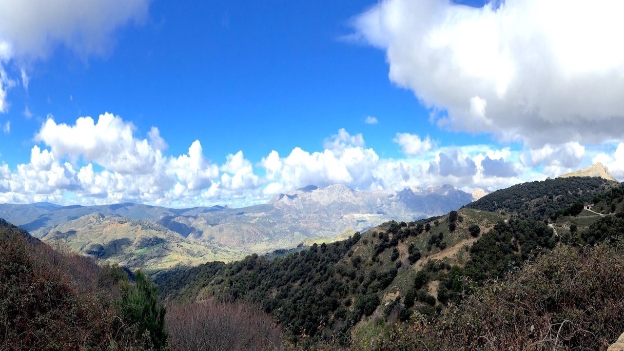 Photo of Others in Casares