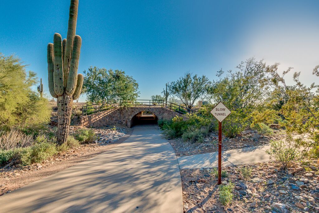Photo of Others in McDowell Mountain Ranch