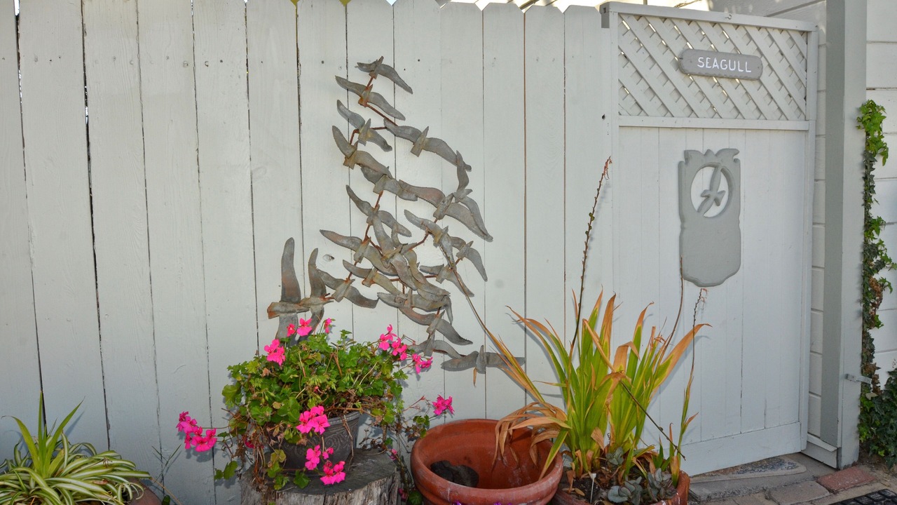 Photo of Outdoor in Oceano