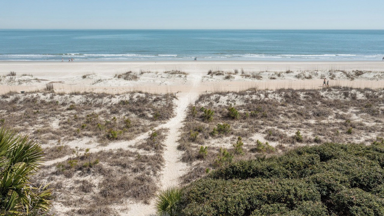Photo of Others in Palmetto Dunes