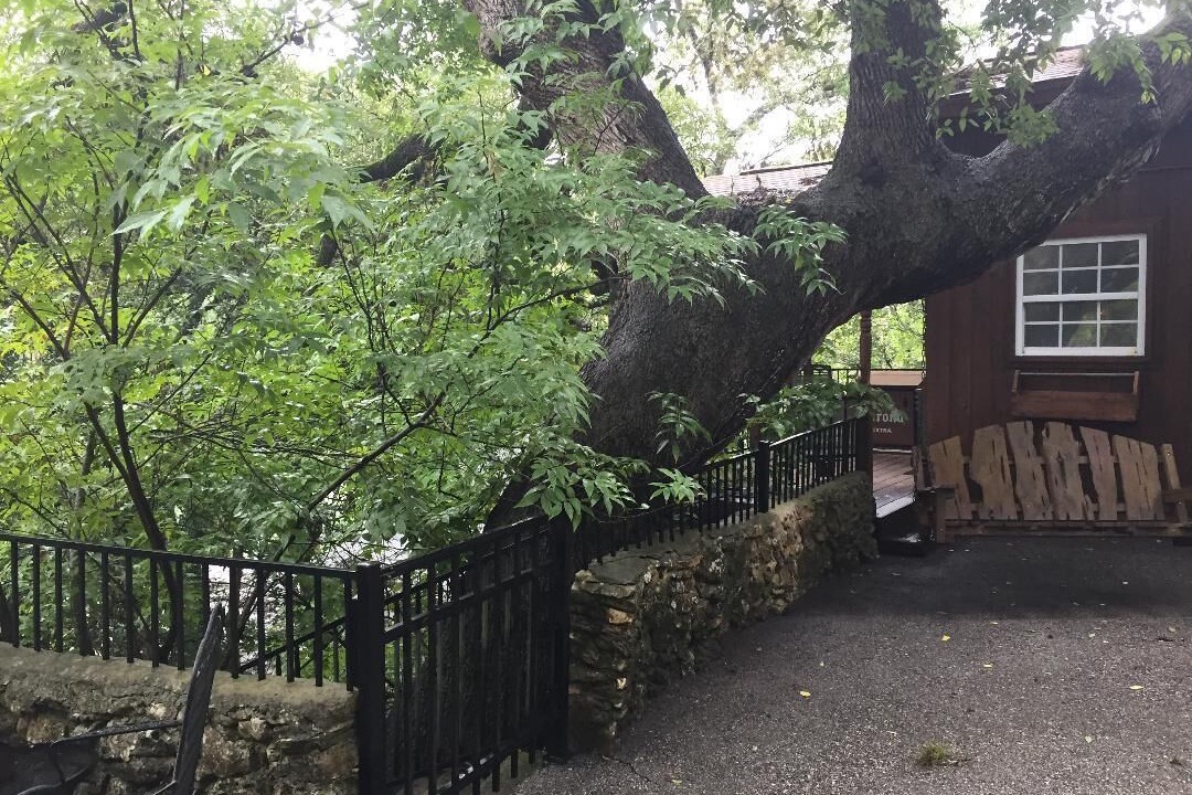 Photo of Others in Gruene