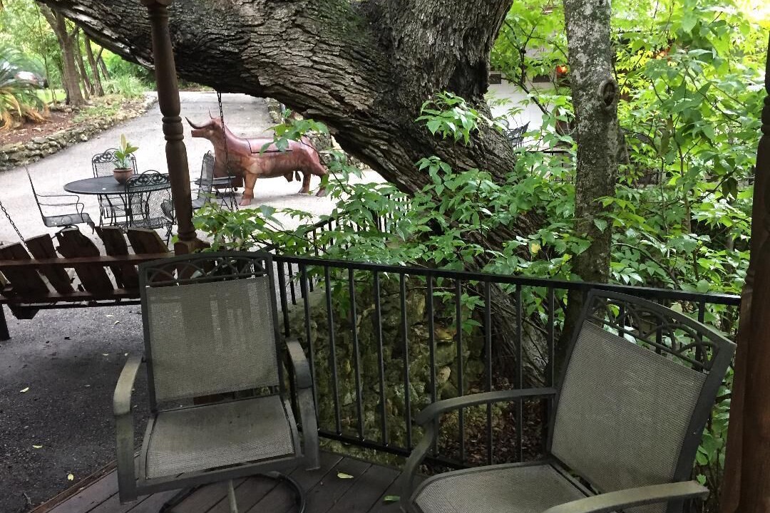 Photo of Others in Gruene