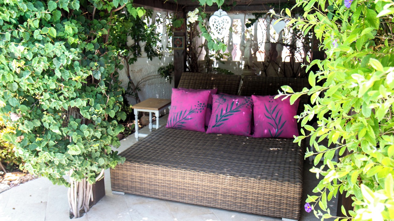 Photo of Others in Mijas