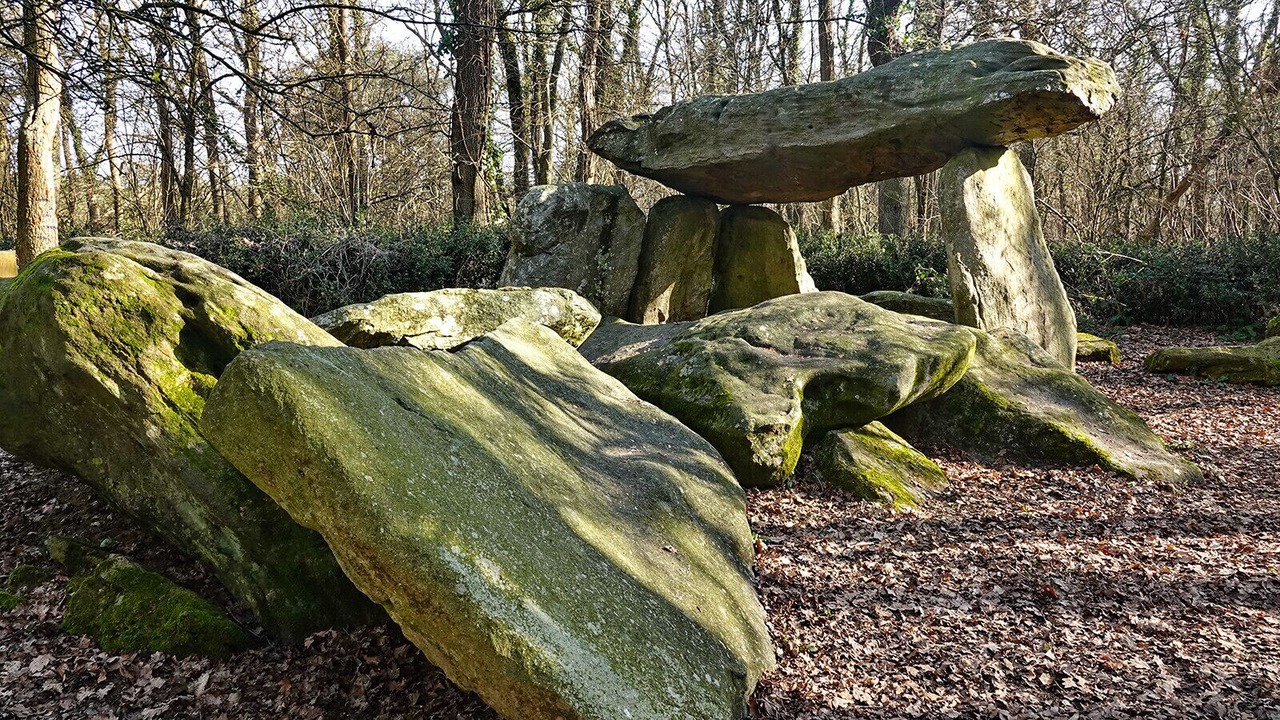 Photo of Others in Commequiers