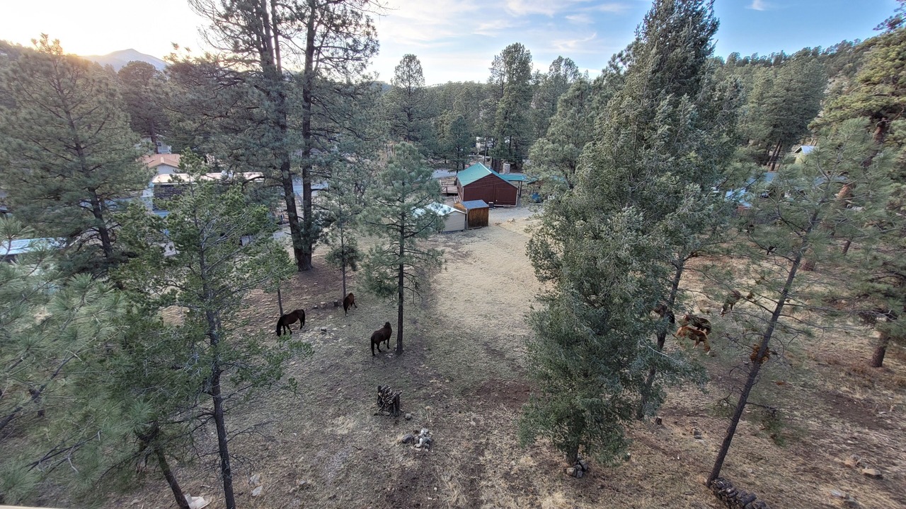 Photo of Outdoor in Ruidoso