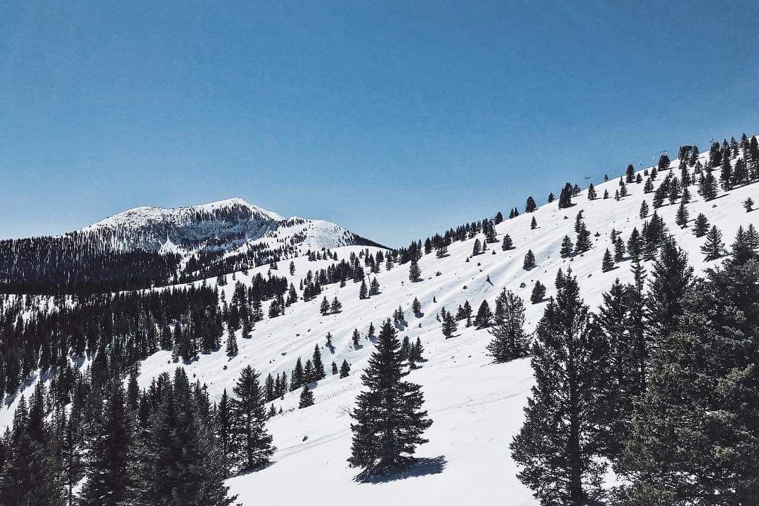 Photo of Others in Ruidoso