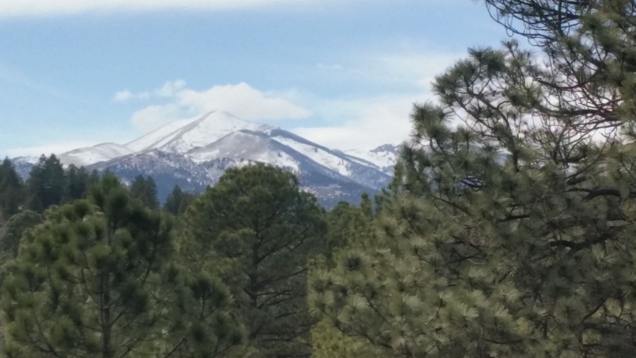 Photo of Others in Ruidoso