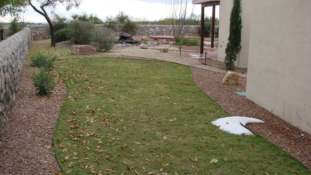Photo of Others in Las Cruces