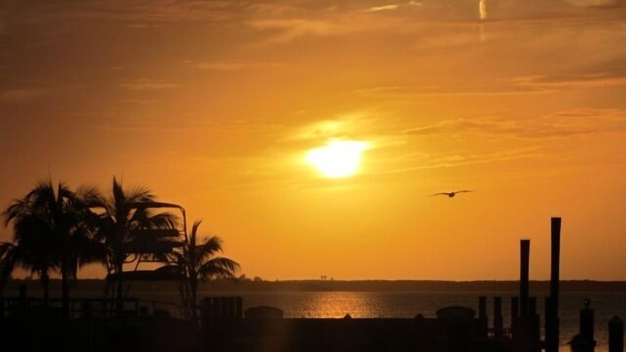 Photo of Outdoor in Tavernier