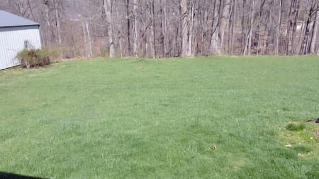Photo of Outdoor in Bloomington