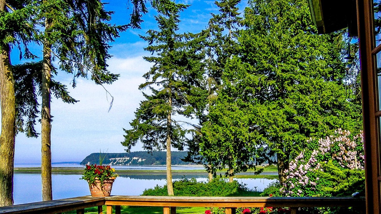 Photo of Others in Sequim