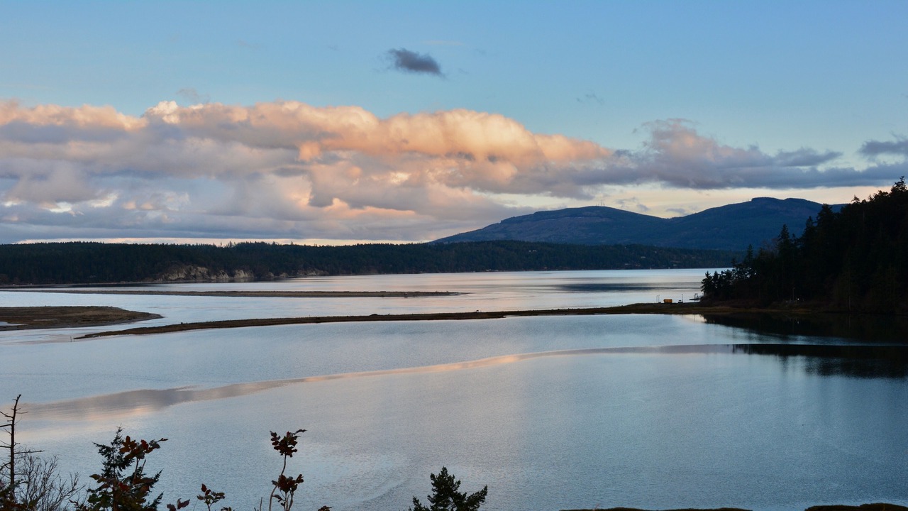 Photo of Others in Sequim