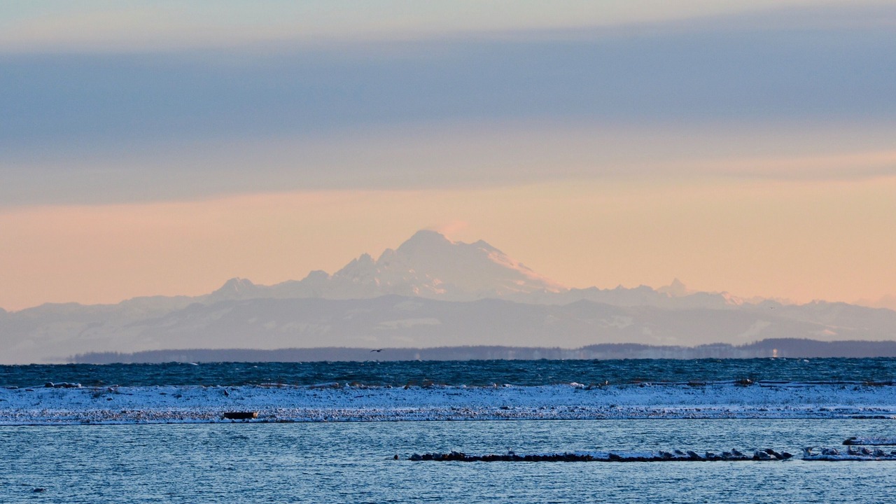Photo of Others in Sequim