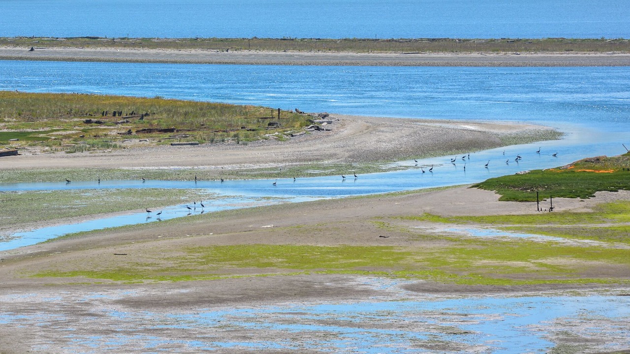 Photo of Others in Sequim