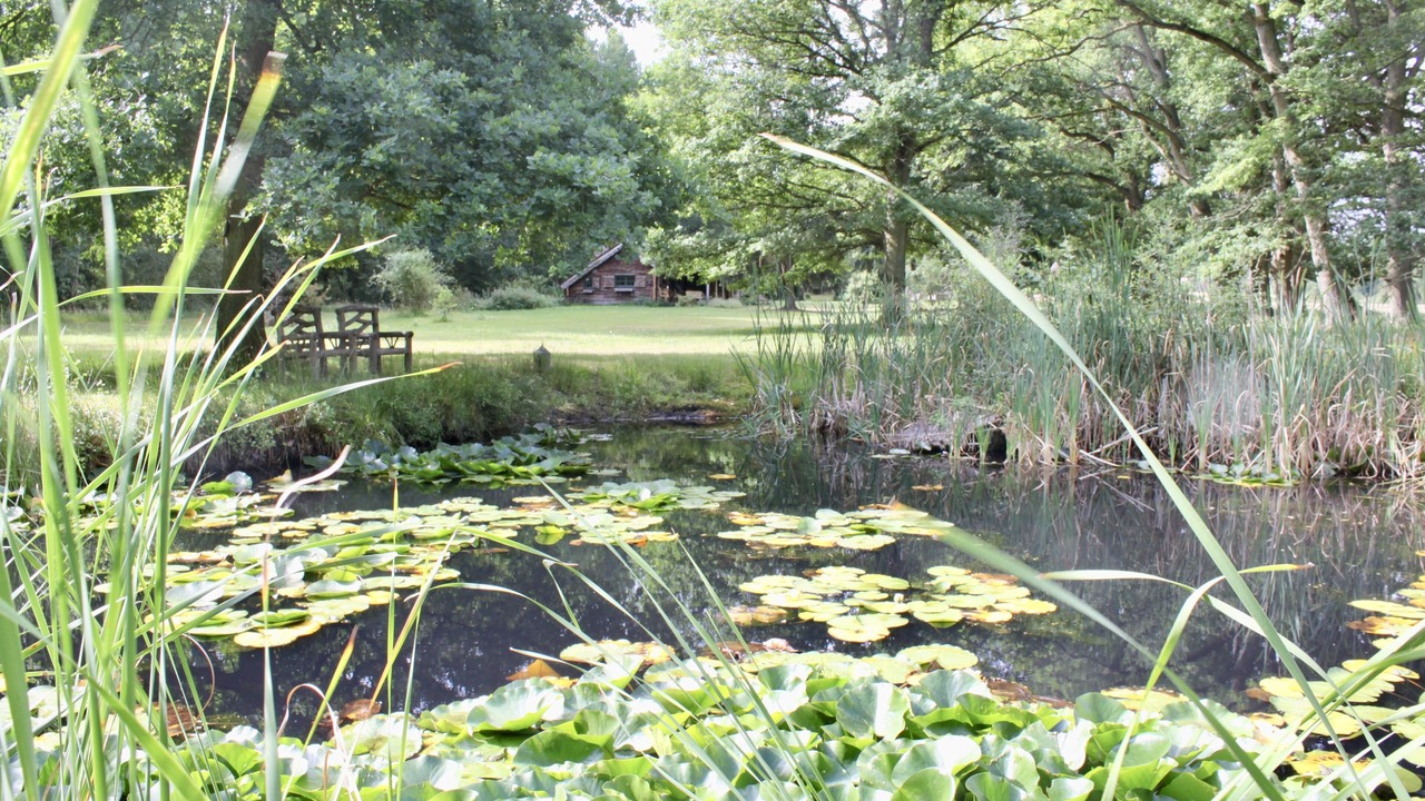 Photo of Outdoor in Adainville