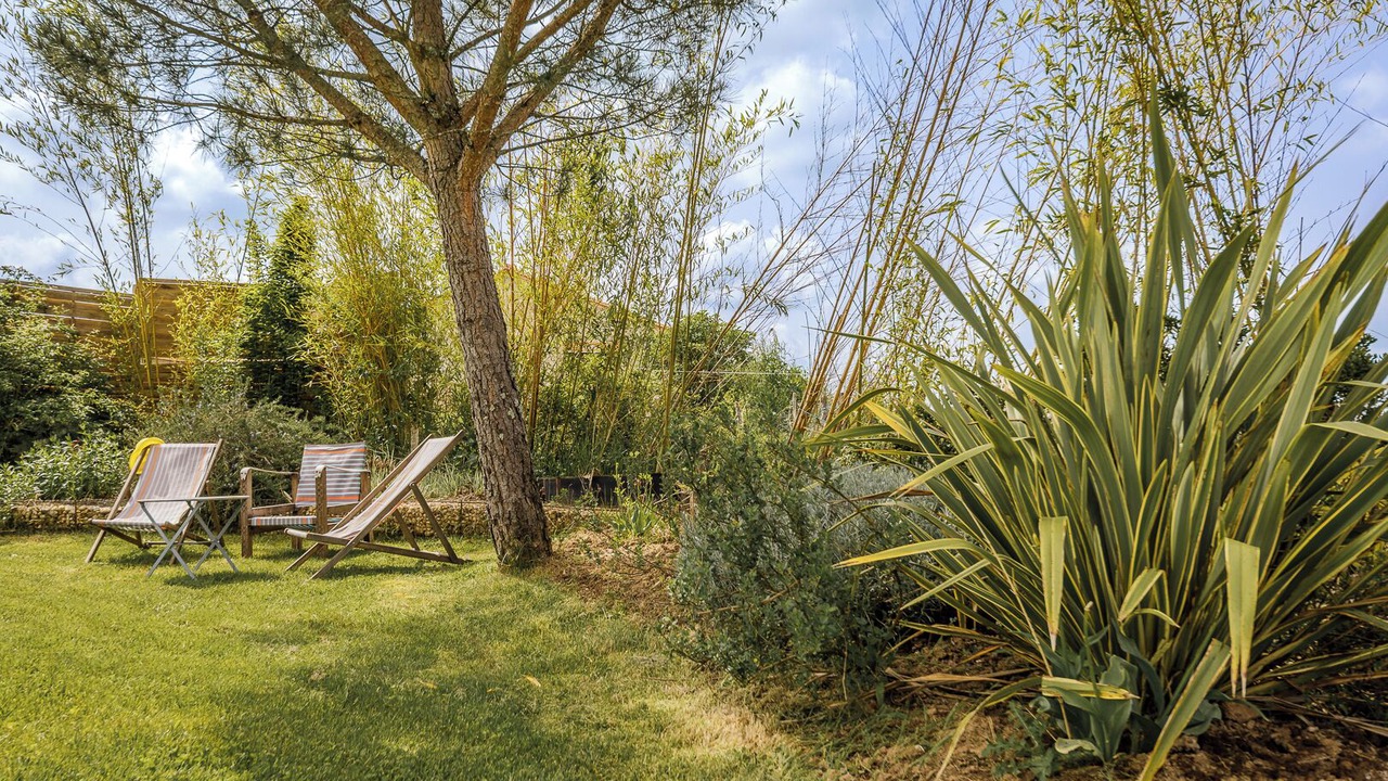 Photo of Outdoor in Saint-Rabier