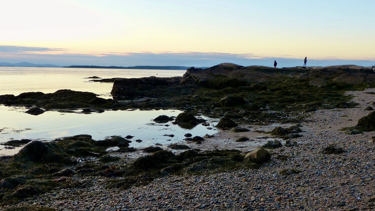Photo of Others in Deer Isle