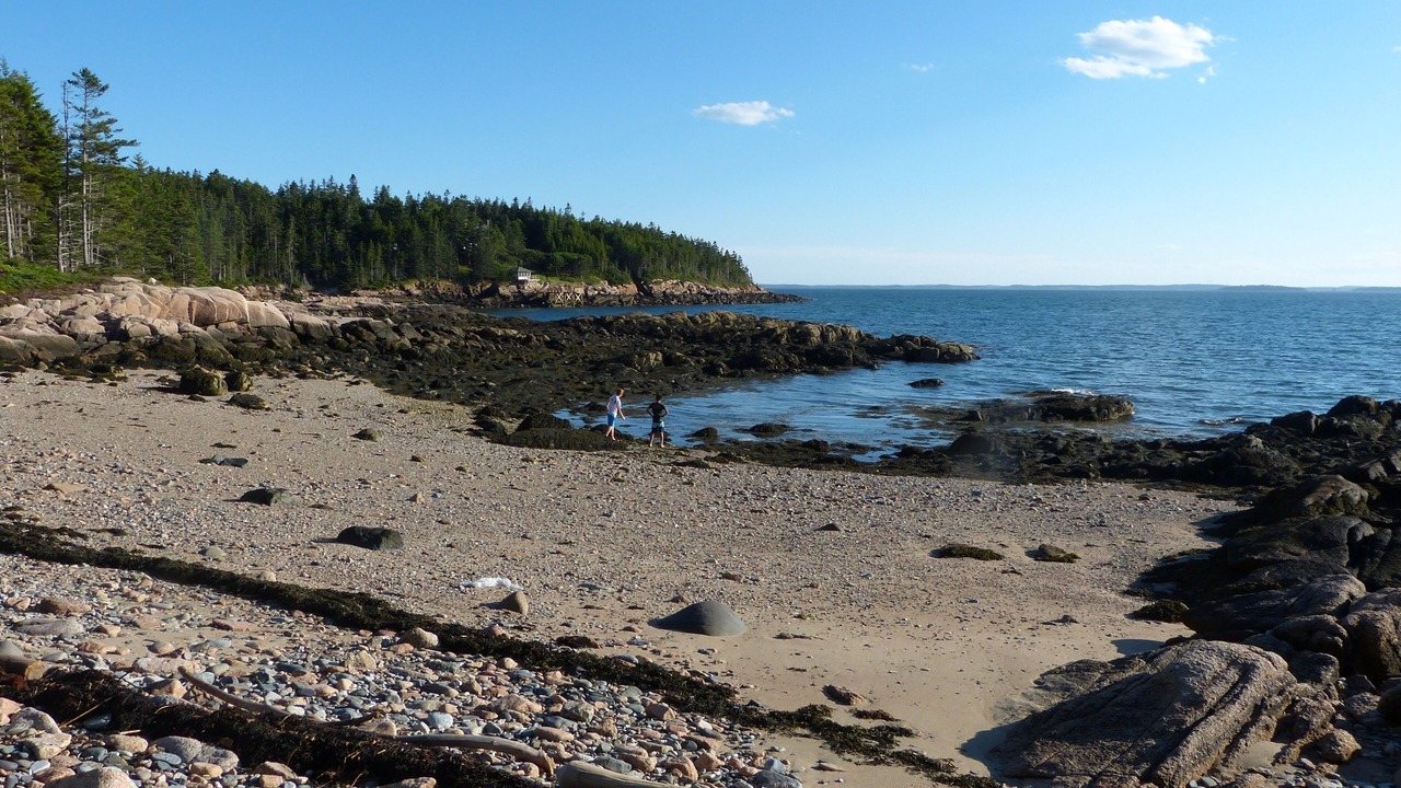 Photo of Others in Deer Isle