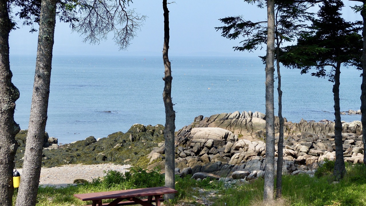 Photo of Others in Deer Isle