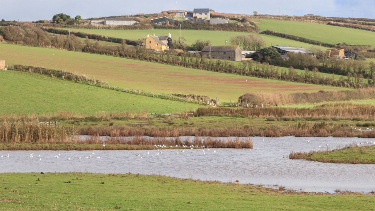 Photo of Others in Thurlestone