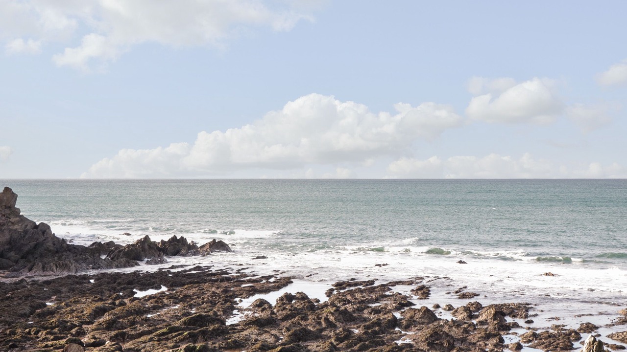 Photo of Others in Thurlestone