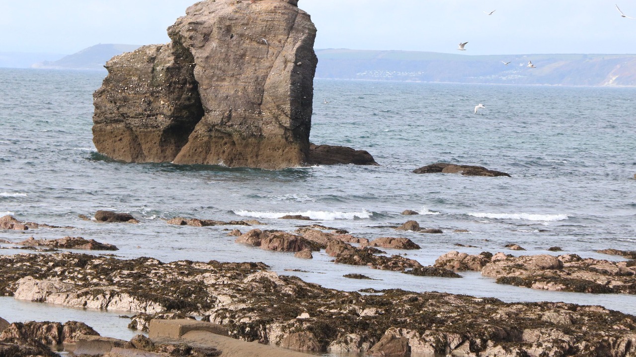 Photo of Outdoor in Thurlestone