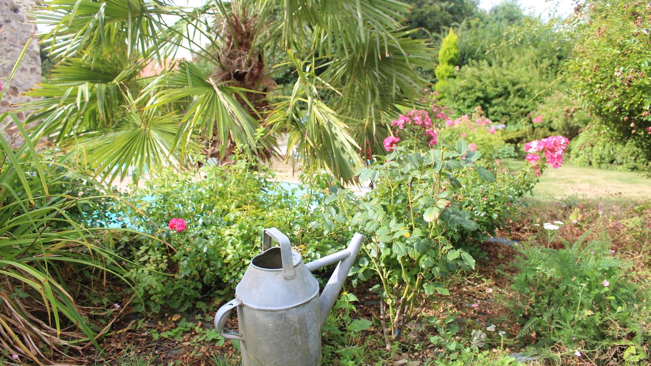 Photo of Outdoor in Sottevast