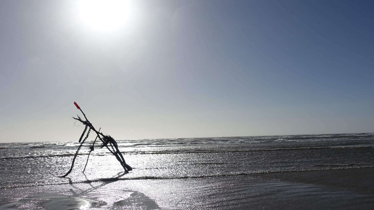 Photo of Others in Rindby Strand