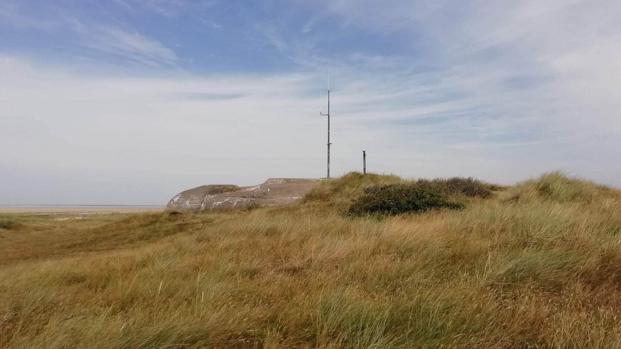 Photo of Others in Rindby Strand