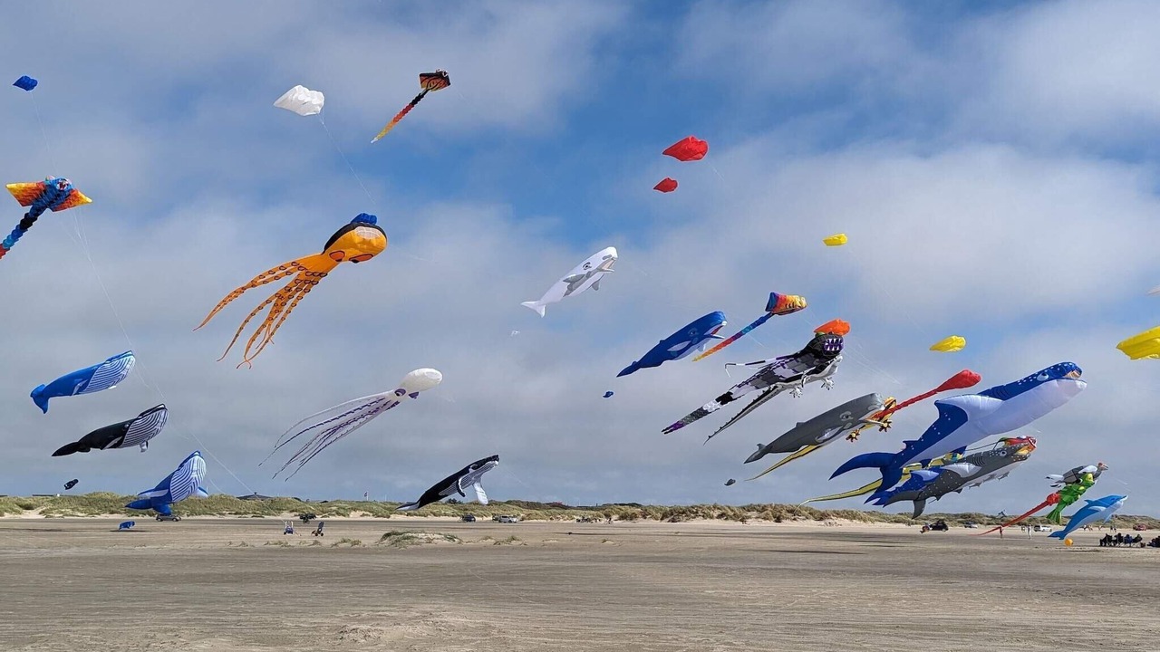 Photo of Others in Rindby Strand