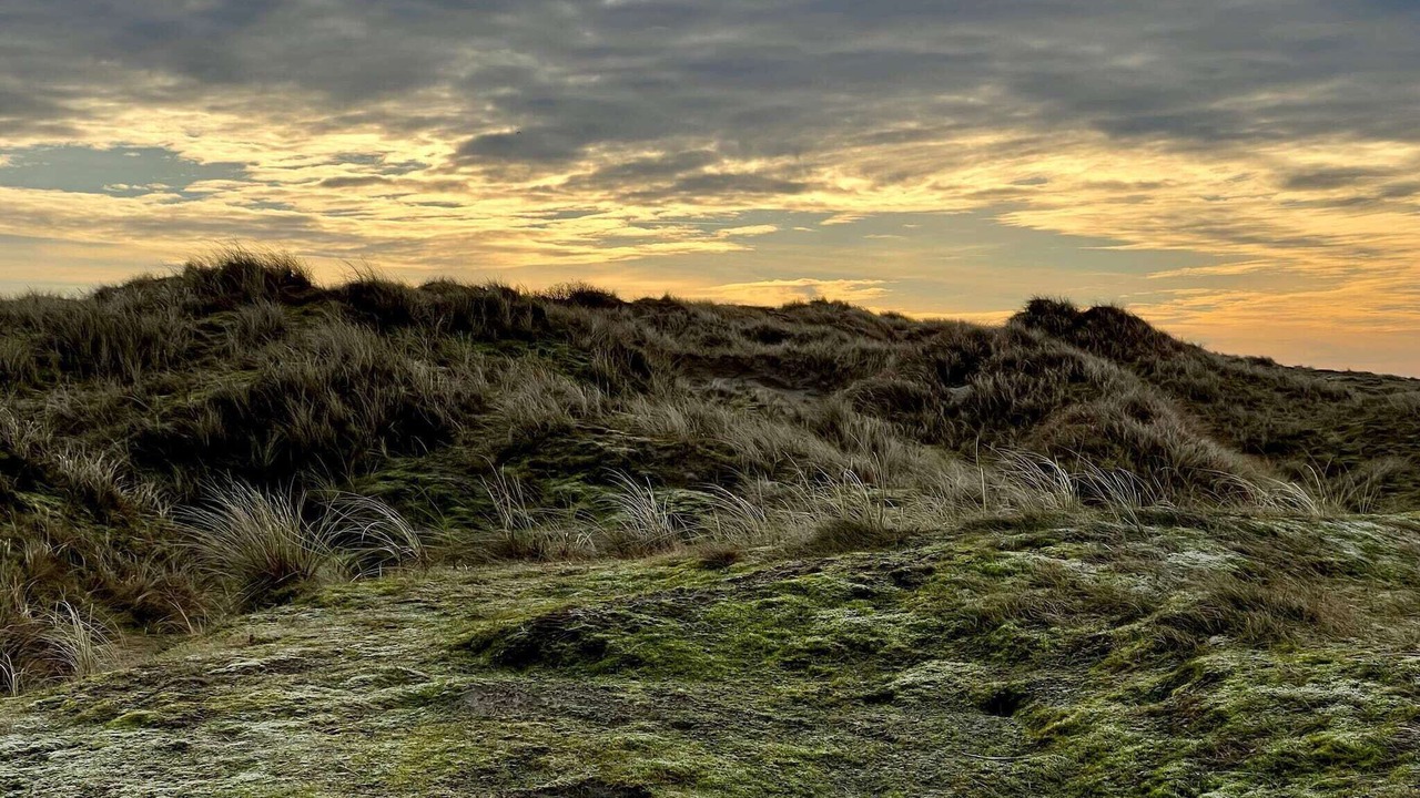Photo of Others in Rindby Strand