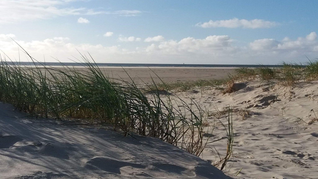 Photo of Others in Rindby Strand