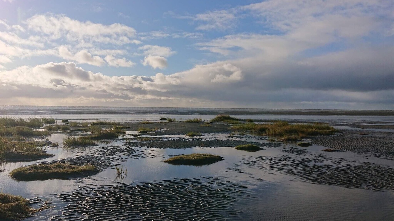 Photo of Others in Rindby Strand
