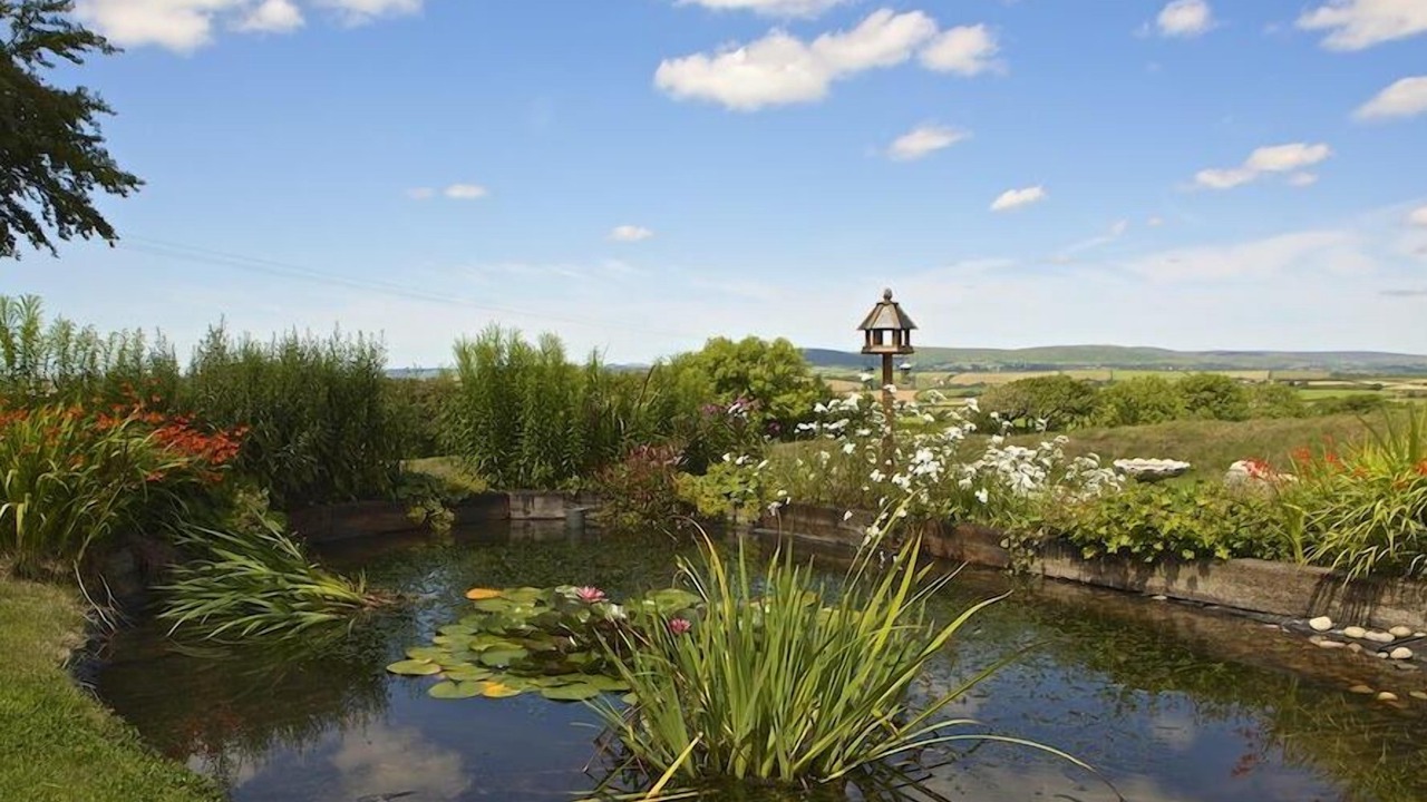 Photo of Outdoor in Loddiswell