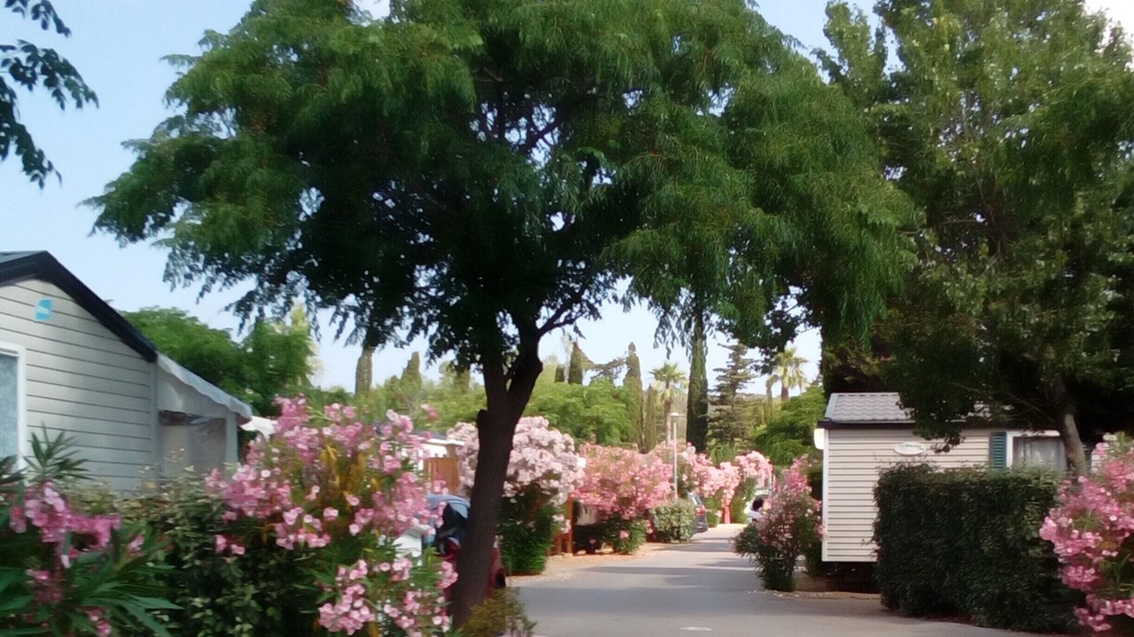 Photo of Outdoor in Vic-la-Gardiole