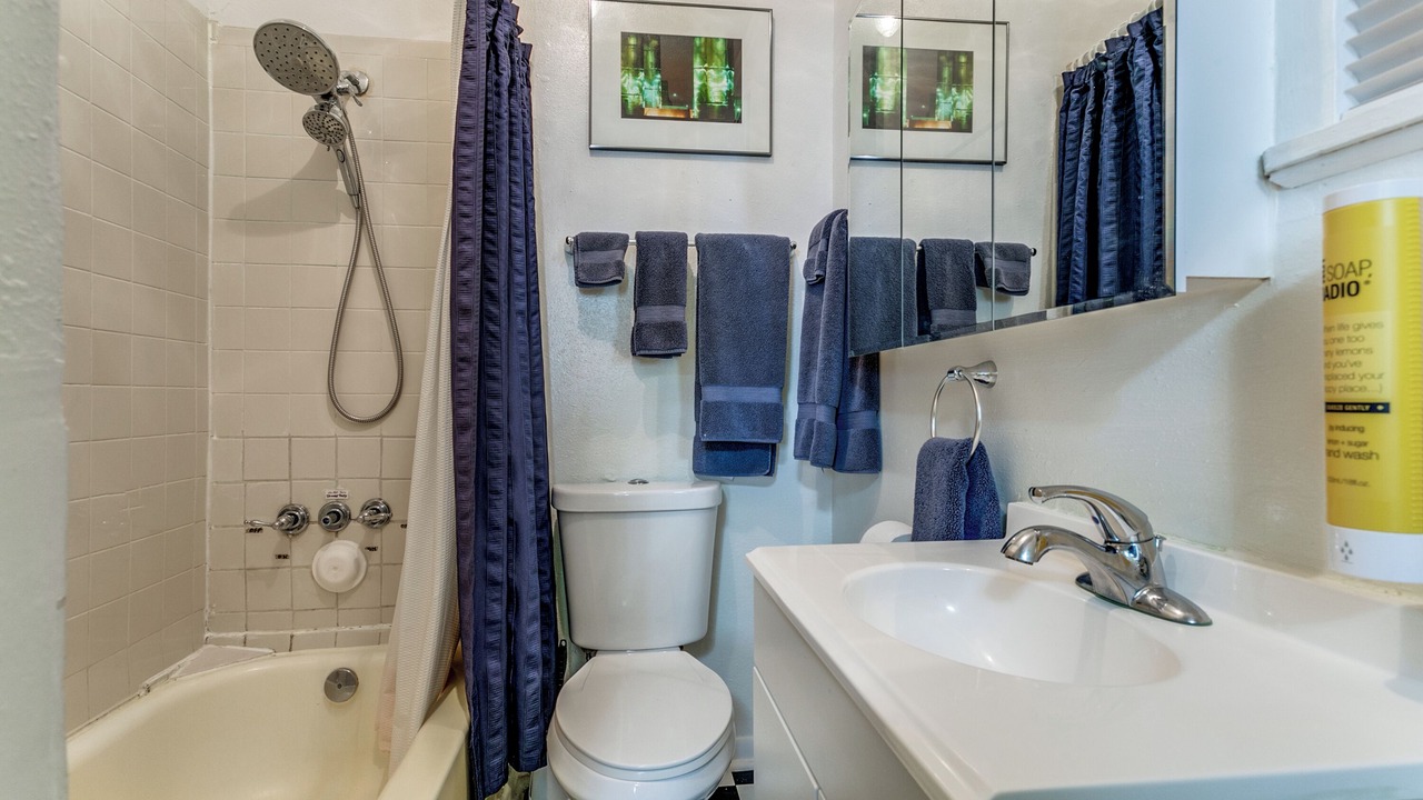 Photo of Bathroom in Government Hill