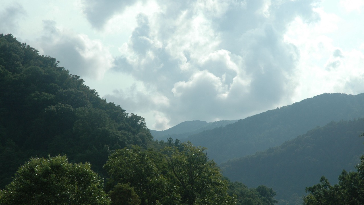 Photo of Others in Maggie Valley