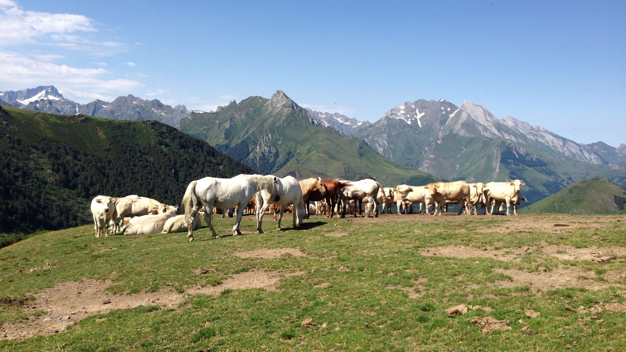 Photo of Outdoor in Ayros-Arbouix