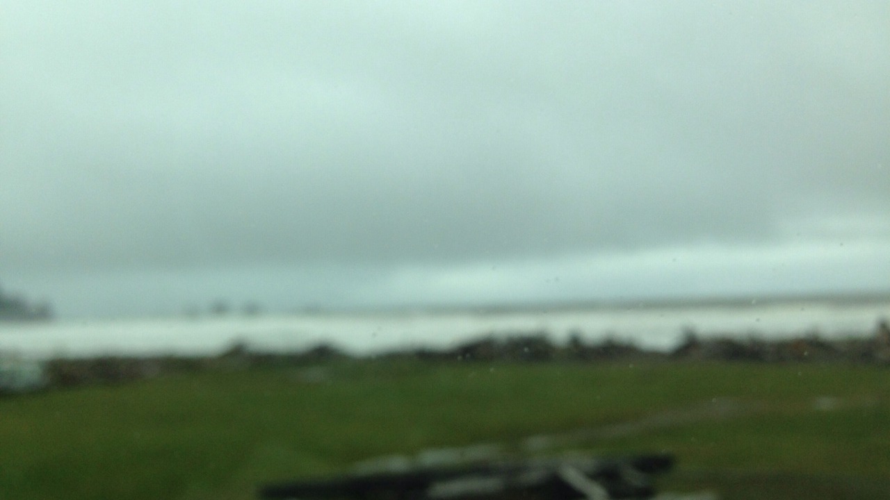 Photo of Others in Forks