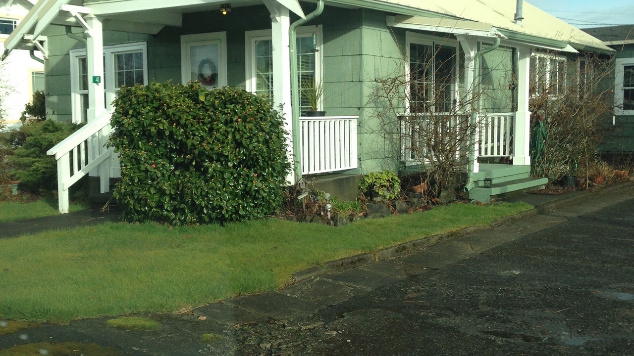 Photo of Outdoor in Forks