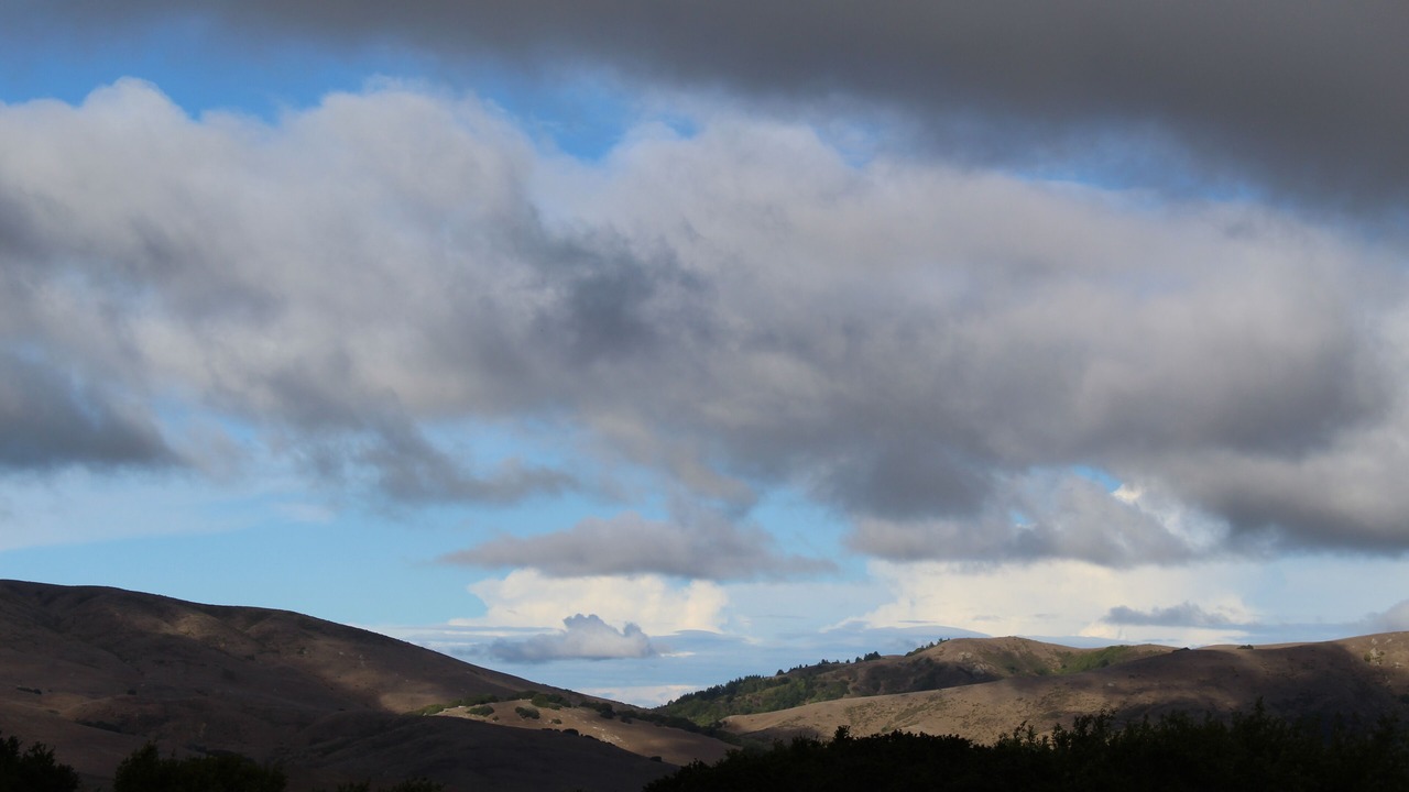 Photo of Outdoor in Nicasio