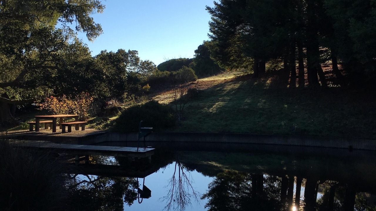 Photo of Others in Nicasio