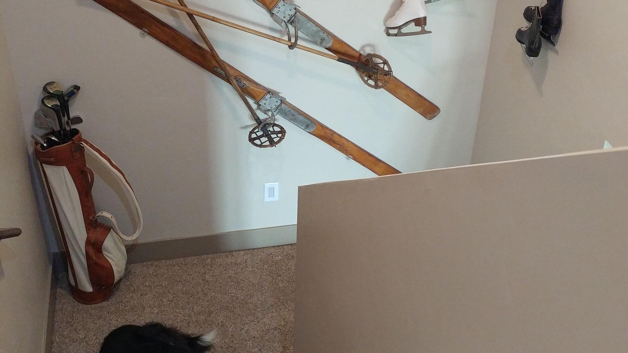 Photo of Others in McCall