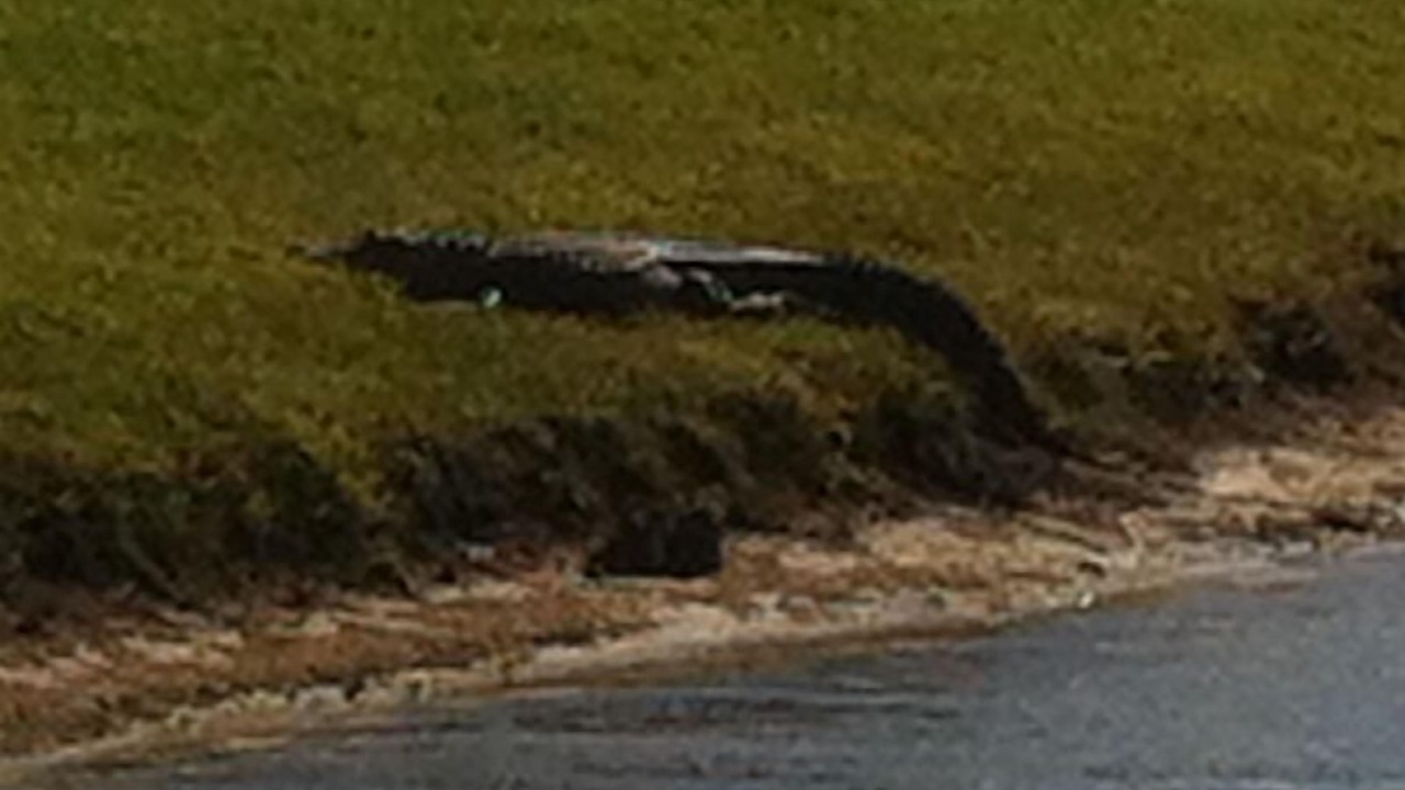 Photo of Outdoor in Eagle Pointe South