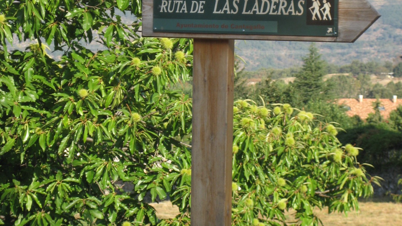 Photo of Outdoor in Cantagallo