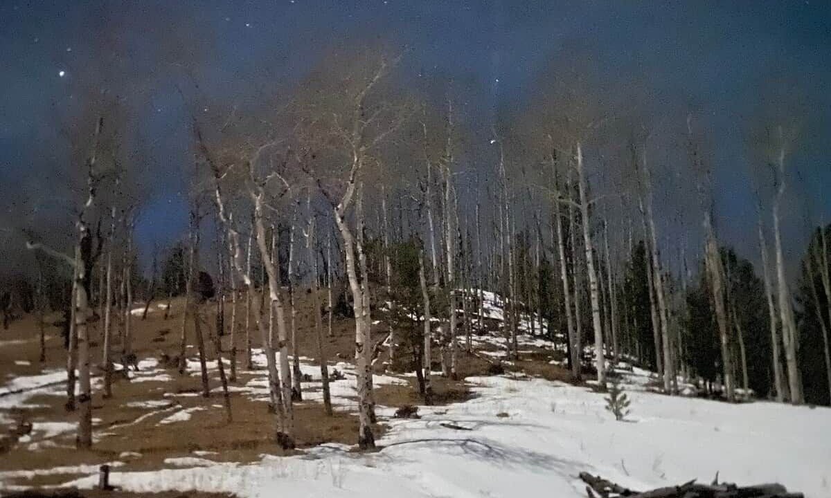 Photo of Others in Victor
