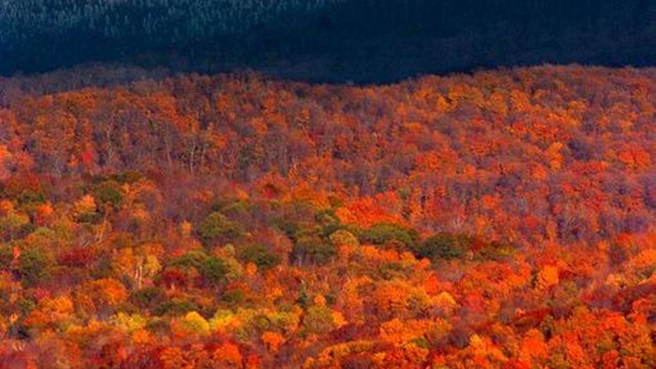 Photo of Others in Killington