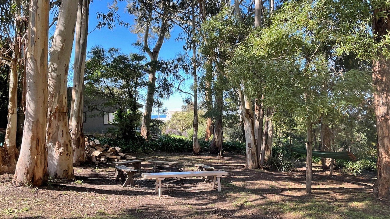 Photo of Outdoor in Skenes Creek