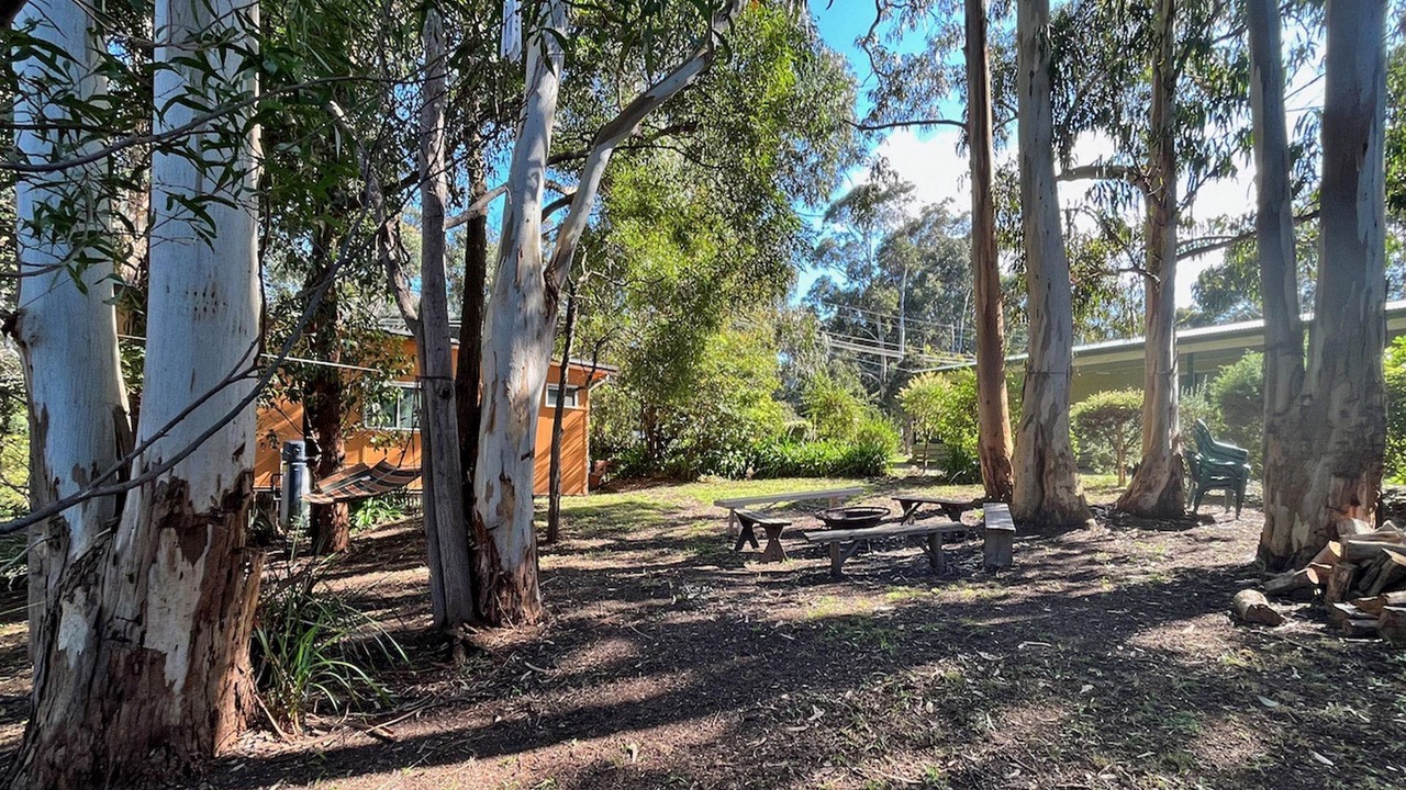 Photo of Outdoor in Skenes Creek