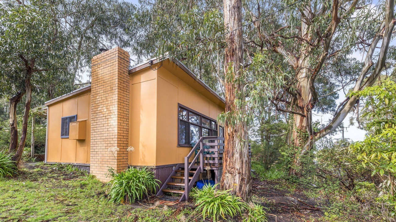 Photo of Outdoor in Skenes Creek